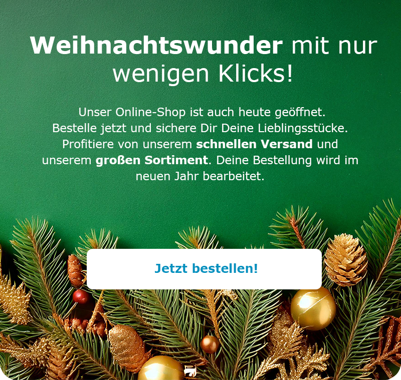 Bild_Newsletter_Footer_Frohe_Weihnachten_V3_800x1000_RGB